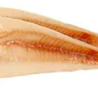 Filé de Polaca Congelado Dhfish 500g