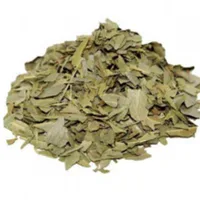 Especiarias Charoma Boldo Do Chile Embalagem 30g