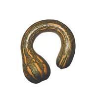 Abobora Pescoço Com casca 1kg