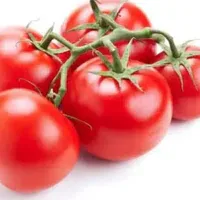 Tomate Rama