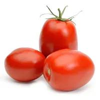 Tomate Saladete