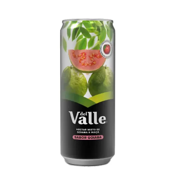 REFRIGERANTE DEL VALLE GOIABA
