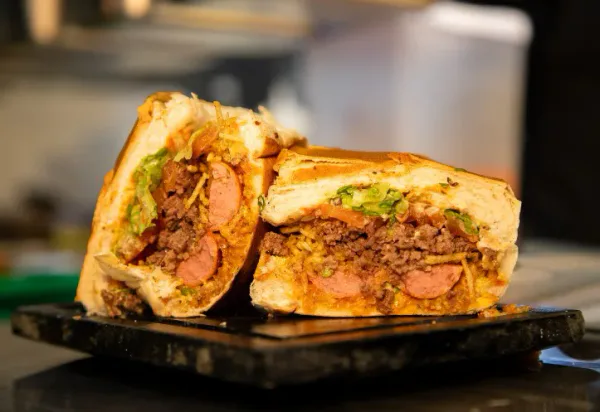 DOG CARNE MOÍDA